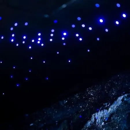 Apartament Dark Nest 3